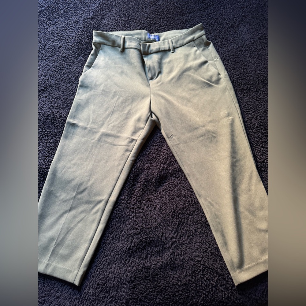 Women’s business casual olive pants size 14